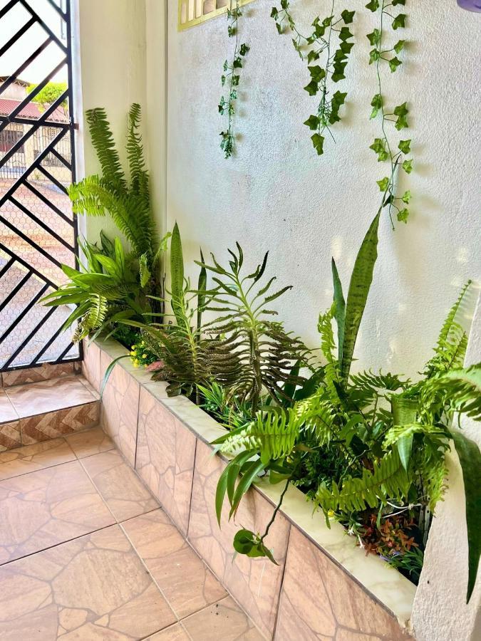 Aeroporto House Apartman Macapá Kültér fotó